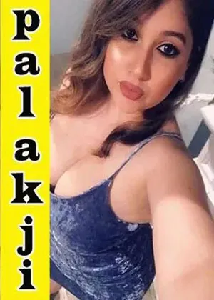 amritsar Call Girls